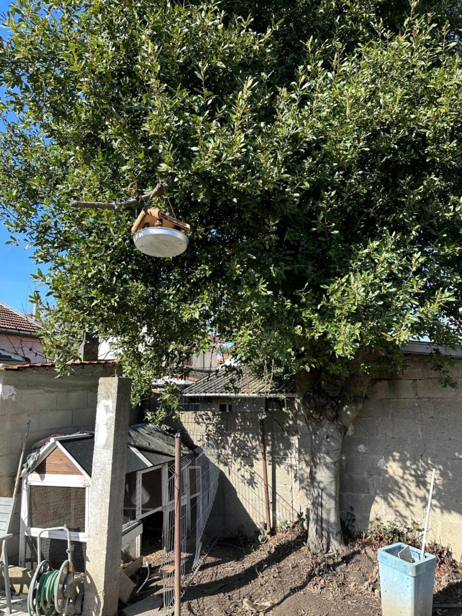 Cozy Proche Paris/cdg * Le Blanc-Mesnil